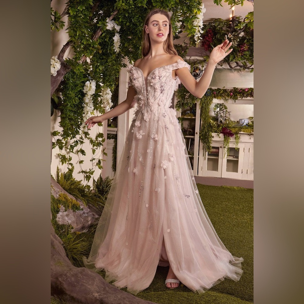 NWT Andrea and Leo A1041 Dress Blush